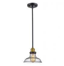 Trans Globe 70823 ROB - 1LT PENDANT SML-INDUSTRIAL-ROB